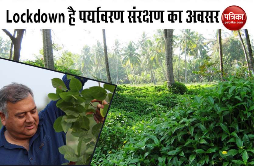 peepal baba encouraging for plantation Lockdown: कोरोना से लड़ाई ही नहीं भविष्य के लिए भी पेड़ हैं जरूरी