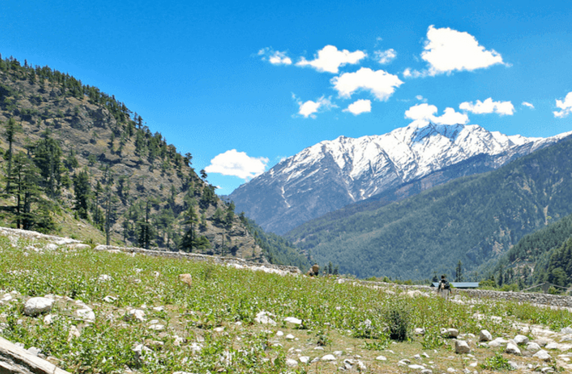 Uttarakhand News एक राज्य ऐसा भी जहां से लौटना नहीं चाहते लोग, जो विदेशी गए उन्होंने भेजा थैंक्स