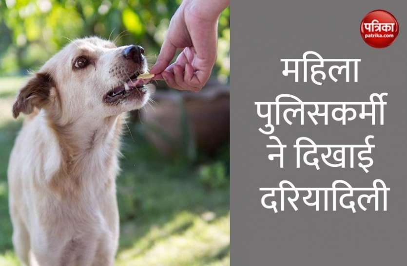 Street Dog भूखे कुत्तों को Biscuit खिला दिल जीत रही है महिला पुलिसकर्मी, सोशल मीडिया पर मिली खूब वाहवाही