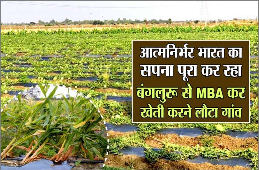 मिलिए आत्मनिर्भर एमबीए पास किसान से, किसानी से कमा रहा तीन गुना लाभ मिलिए आत्मनिर्भर एमबीए पास किसान से, किसानी से कमा रहा तीन गुना लाभ