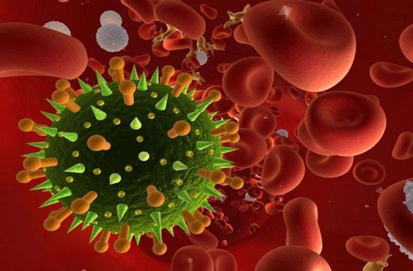Coronavirus: गुजरात में कोरोना से 24 घंटे में 24 मौत, अब तक 773 मौतें Corona effect: होमगार्ड कार्यालय में आरक्षक की मनमानी से स्टाफ परेशान