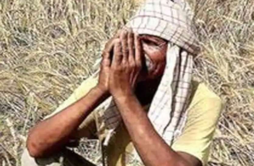 लॉकडाउन में मंडी बंद, नहीं मिल रहे सब्जियों के खरीदार, खेतों में सड़ रहीं सब्जियां लॉकडाउन में मंडी बंद, नहीं मिल रहे सब्जियों के खरीदार, खेतों में सड़ रहीं सब्जियां