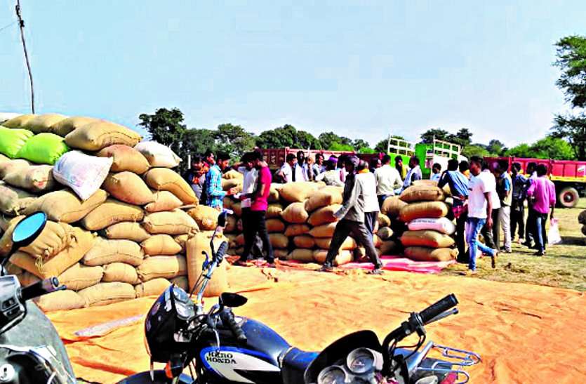 More than 40 crore rupees will come to the account of more than thirteen thousand farmers साढ़े तेरह हजार से अधिक किसानों के खाते में आएगी 40 करोड़ रूपए से अधिक की राशि