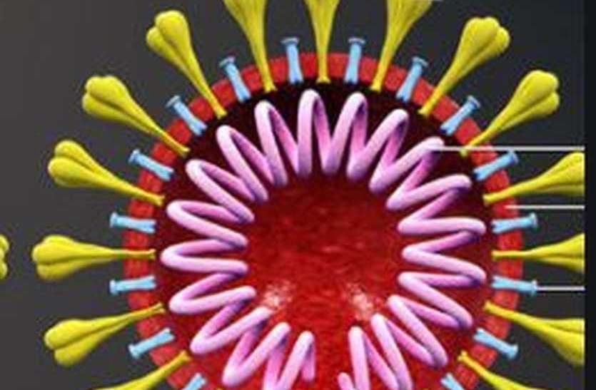 Coronavirus: सुरेन्द्रनगर के ग्रामीण इलाकों में फैला कोरोना, 2 और मरीज मिले, अब तक 15 मामले Coronavirus: सुरेन्द्रनगर के ग्रामीण इलाकों में फैला कोरोना, 2 और मरीज मिले, अब तक 15 मामले