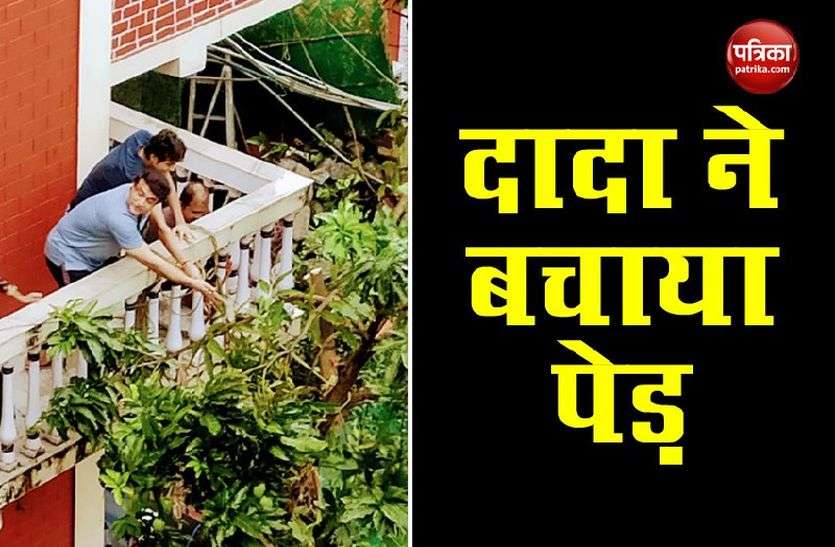 Sourav Ganguly Amphan Cyclone में गिरा Sourav Ganguly के घर का आम का पेड़, ऐसे बचाया