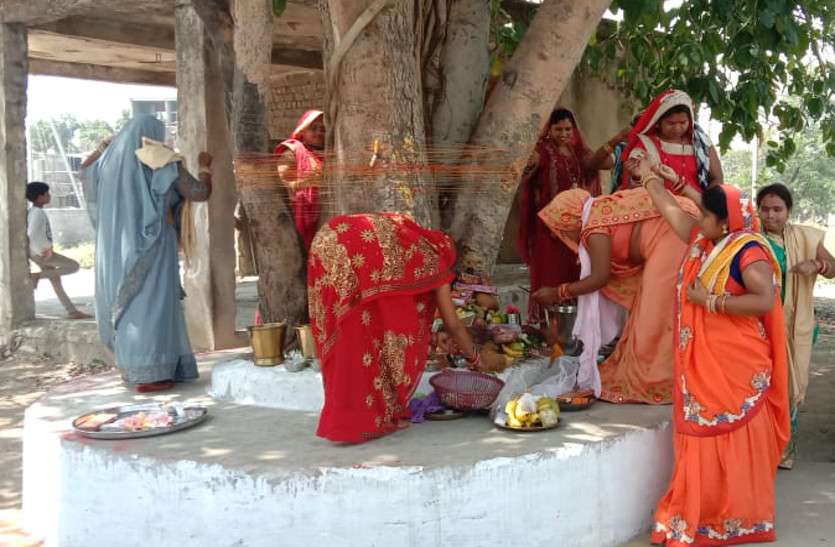 साजन की लंबी उम्र के लिए सजनी ने रखा वट सावित्री का व्रत, की गई पूजा-अर्चना साजन की लंबी उम्र के लिए सजनी ने रखा वट सावित्री का व्रत, की गई पूजा-अर्चना