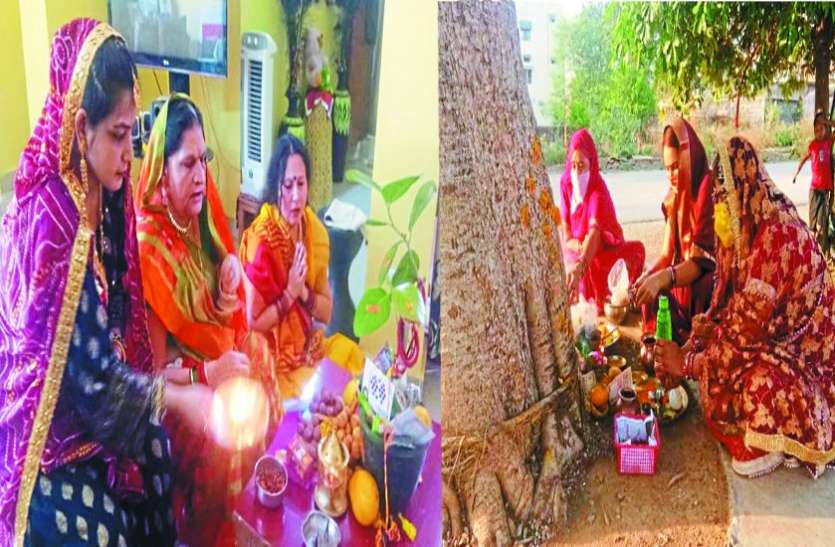 सोशल डिस्टेंसिंग का पालन करते हुए महिलाओं ने की वट सावित्री की पूजा सोशल डिस्टेंसिंग का पालन करते हुए महिलाओं ने की वट सावित्री की पूजा