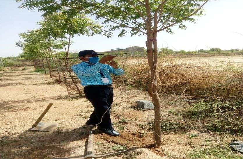इको क्लब डोडुआ : जैव विविधता पर गतिविधियों का आयोजन इको क्लब डोडुआ : जैव विविधता पर गतिविधियों का आयोजन