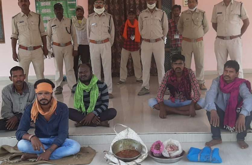 वन्यप्राणी चीतल के मांस सहित 5 गिरफ्तार वन्यप्राणी चीतल के मांस सहित 5 गिरफ्तार