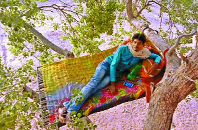 Corona did not spread in the village, perch built on trees गांव में न फैले कोरोना, पेड़ों पर बनाया बसेरा