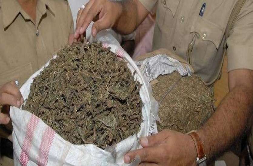 covid_19_ganja.jpg पांच लाख की रिश्वत कांड के बीच भरतपुर में एक और धमाका, जयपुर पुलिस ने किया बड़ा खुलासा