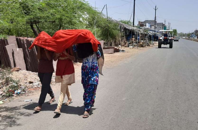Damoh was hot at number three प्रदेश में तीसरे नंबर पर गर्म रहा दमोह