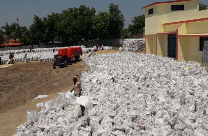 जिले के 92 प्रतिशत किसान बेच चुके, 666.06 करोड़ का भुगतान हुआ जिले के 92 प्रतिशत किसान बेच चुके गेहूं , 666.06 करोड़ का भुगतान हुआ