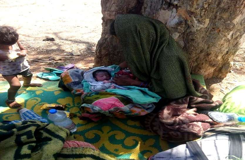 घर लौटने की ये कैसी मजबूरी, चलती ट्रक में प्रवासी श्रमिक महिला ने दिया बच्चे को जन्म, रात भर तड़पती रही दर्द में घर लौटने की ये कैसी मजबूरी, चलती ट्रक में प्रवासी श्रमिक महिला ने दिया बच्चे को जन्म, रात भर तड़पती रही दर्द में