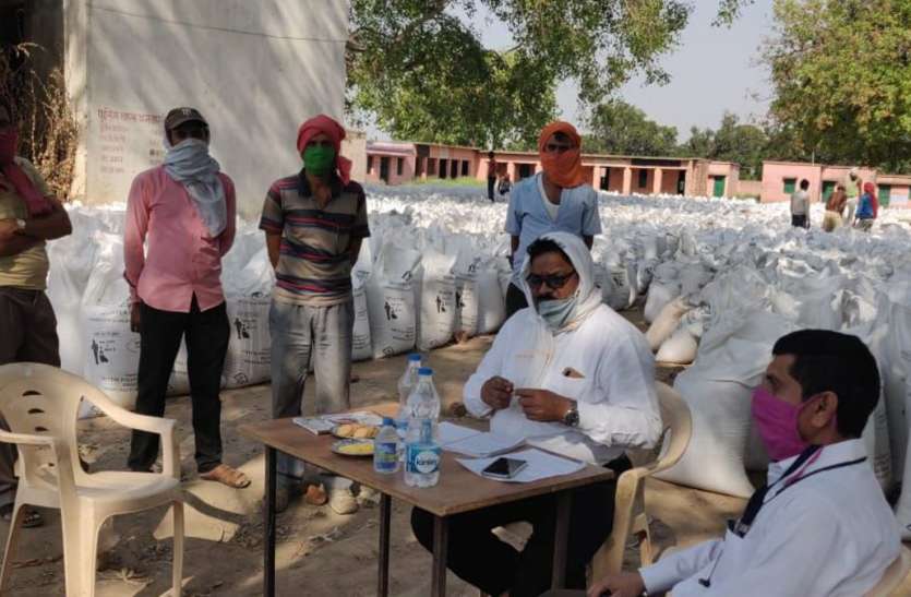government took the weight , not sent to farmers support price सरकार 220 करोड़ की तौल ली गेहूं, किसानों के खाते में नहीं भेजा 160 करोड़ समर्थन मूल्य