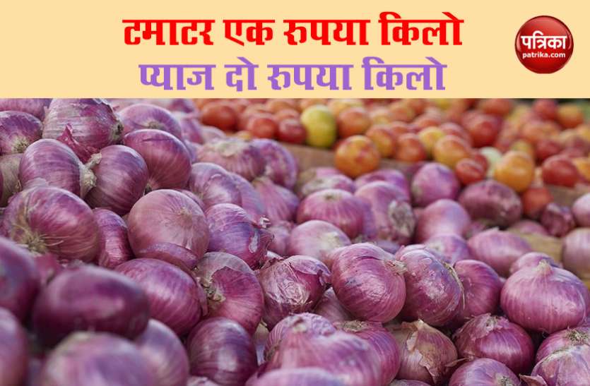 Tomato and Onion Price Lockdown 4.0 में Tomato and Onion Price में जबरदस्त गिरावट, जानिए इसकी वजह