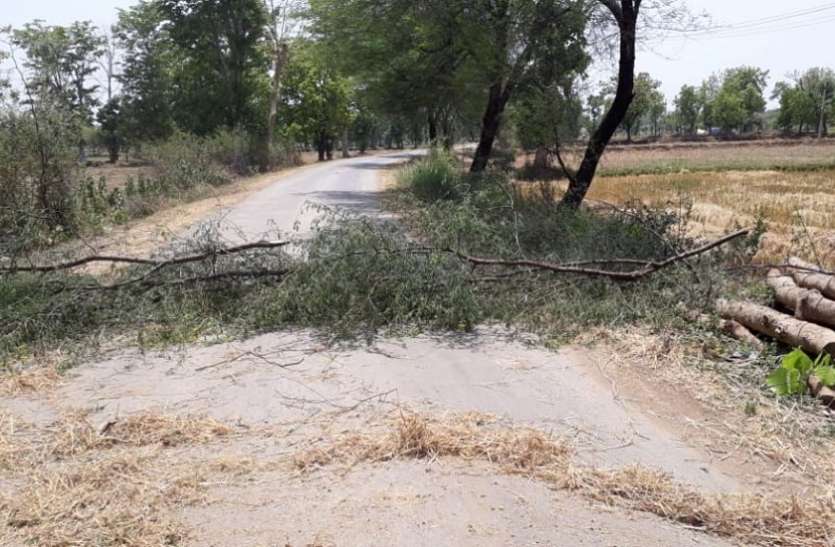 लांजी की सीमा को चारों ओर से किया सील लांजी की सीमा को चारों ओर से किया सील
