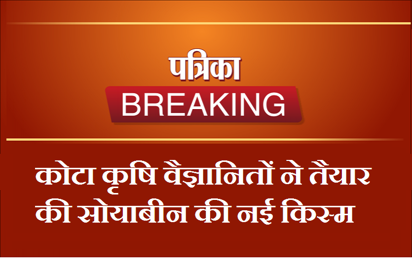 कृषि वैज्ञानितों ने तैयार की सोयाबीन की नई किस्म हाड़ौती के किसानों के खेतों में खुशहाली लाएगी सोयाबीन
