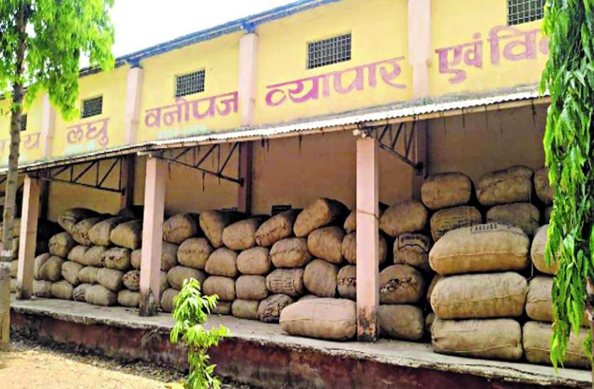 Hurriedly so that tendu leaves are being transported continuously from the container area हड़बड़ी इतनी कि कंटेनमेंट क्षेत्र से लगातार कर रहे तेंदूपत्ता परिवहन