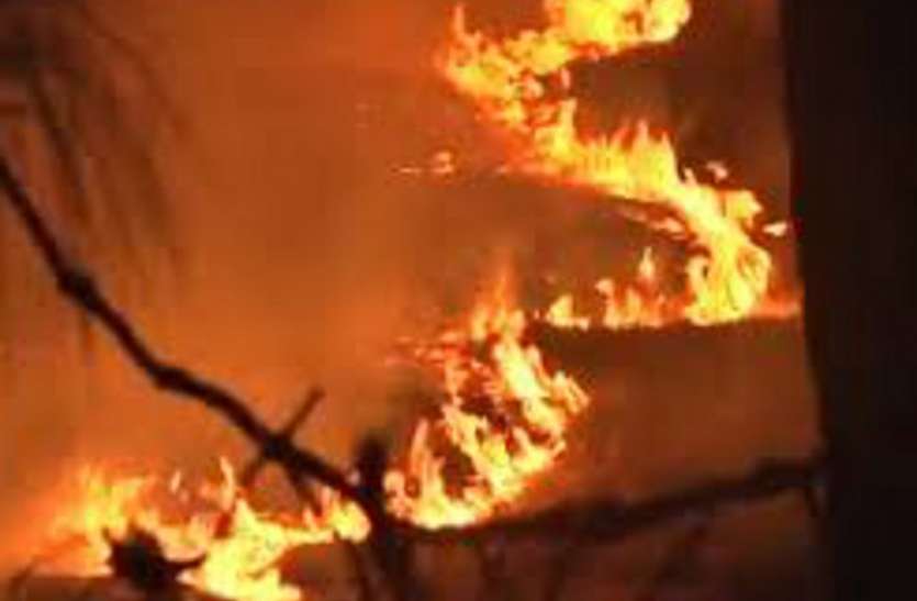 Fire erupted in forest near solar power plant, forest department staff not reached सोलर पावर प्लांट के पास जंगल में भड़की आग, नहीं पहुंचा वन विभाग का अमला