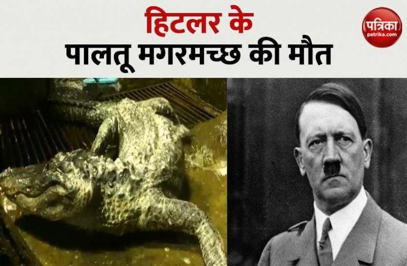hitler.jpg Hitler के पालतू मगरमच्छ की मौत! World War II की बमबारी में बच गई थी जान