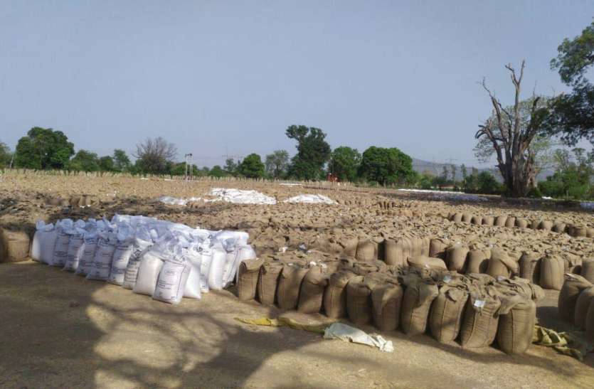 itarsi, gehu khareedi, kharidi kendra, farmers, amount किसानों की 546 करोड़ की राशि अटकी, परिवहन की सुस्त रफ्तार बनी समस्या