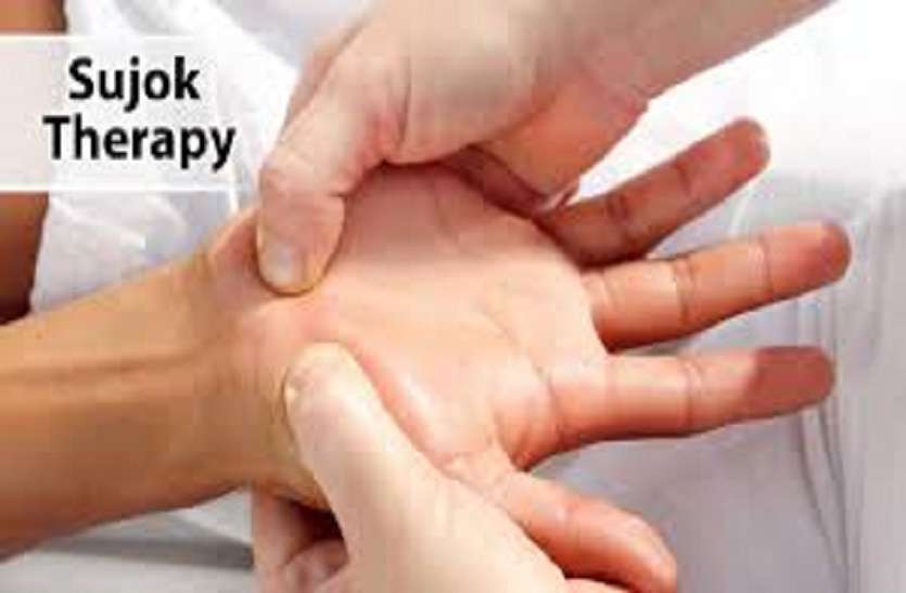 सुजोक थैरेपी सर्दी-जुकाम में कारगर चुंबक, बीजों से होता मरीजों का इलाज सुजोक थैरेपी सर्दी-जुकाम में कारगर चुंबक, बीजों से होता मरीजों का इलाज