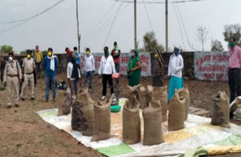wheat.jpg इतिहास में पहली बार रिकॉर्ड गेहूं की खरीदी, पंजाब के बाद टॉप पर मध्यप्रदेश
