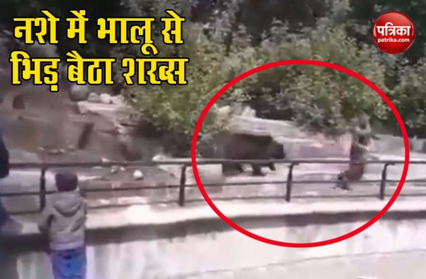 Viral Video शराब के नशे में भालू से भिड़ गया एक शख्स, सोशल मीडिया पर वायरल हुआ वीडियो