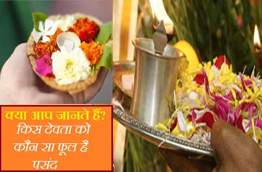 Hindu Gods and Their Favourite Flowers हर देवता का है अपना एक खास फूल, इससे होते हैं जल्द प्रसन्न