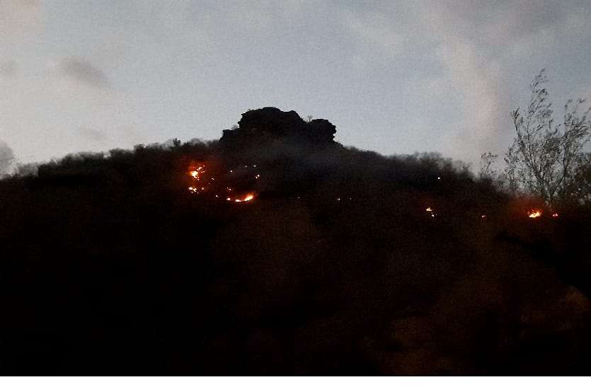 Such a fire in the forest that could not be controlled till night जंगल में ऐसी फैली आग कि रात तक नहीं हो पाया काबू