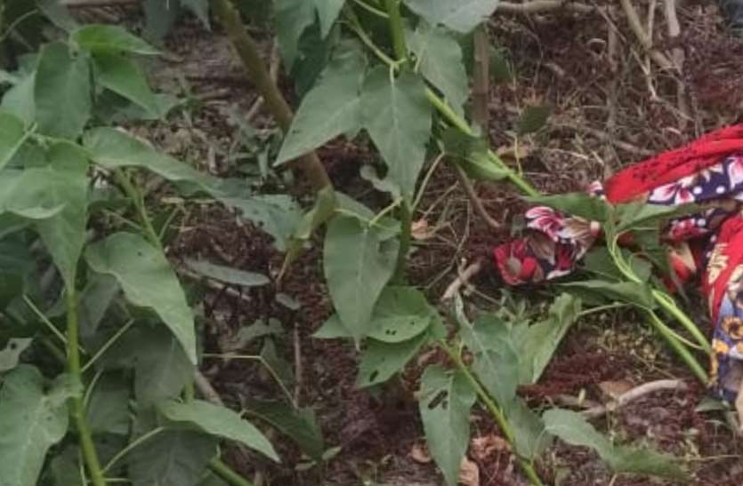 महिला व उसकी दो पुत्रियों का शव सूखे तालाब के किनारे मिलने से मचा हड़कंप महिला व उसकी दो पुत्रियों का शव सूखे तालाब के किनारे मिलने से मचा हड़कंप