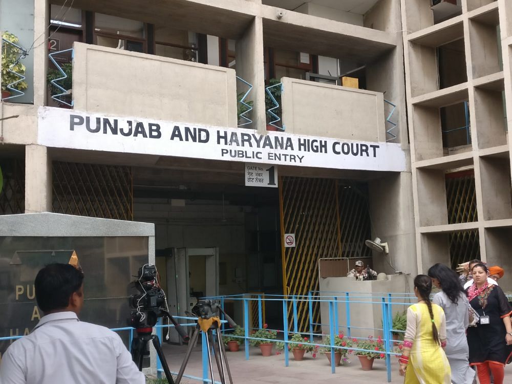 Important Decision Of Punjab-Haryana High Court About Live In Relation ...