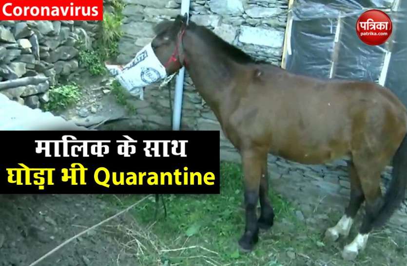 A horse along with owner is under home quarantine in J&K amid COVID-19 ...