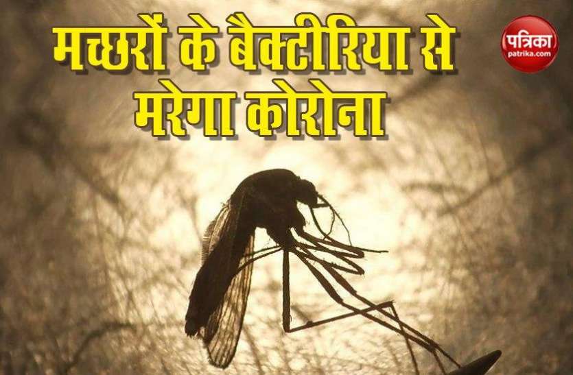 scientists identify 2 bacterial secreted proteins effective in inactivating coronavirus Research: US और China के वैज्ञानिकों का दावा, मच्छर के Bacteria से होगा Corona का इलाज