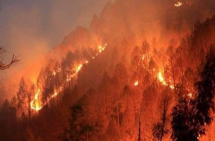 Fact Check: उत्तराखंड में जंगल जलने से हैं दुखी तो पढ़ें यह खबर, पता चलेगा सच Fact Check: उत्तराखंड में जंगल जलने से हैं दुखी तो पढ़ें यह खबर, पता चलेगा सच