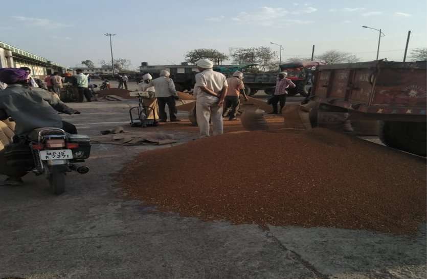 Farmers are trying to sell gram on support price समर्थन मूल्य पर चना बेचने किसान बिनाई कर तेवड़ा कर रहे अलग, करनी पड़ रही मशक्कत