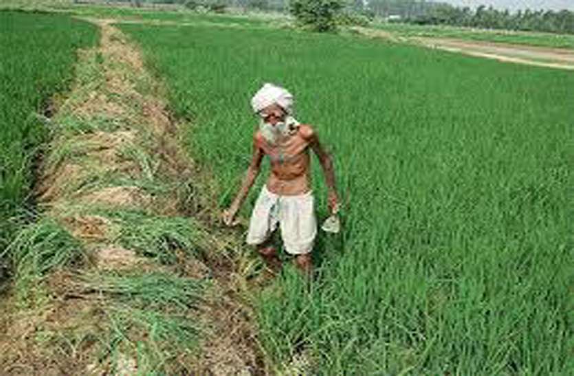 प्रदेश के किसानों को सरकार देगी सम्बल प्रदेश के किसानों को सरकार देगी सम्बल