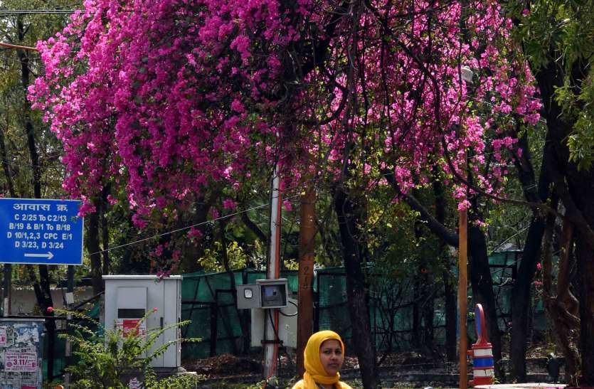 43.5 डिग्री पर आया तापमान, तीखी गर्मी से मामूली राहत 43.5 डिग्री पर आया तापमान, तीखी गर्मी से मामूली राहत