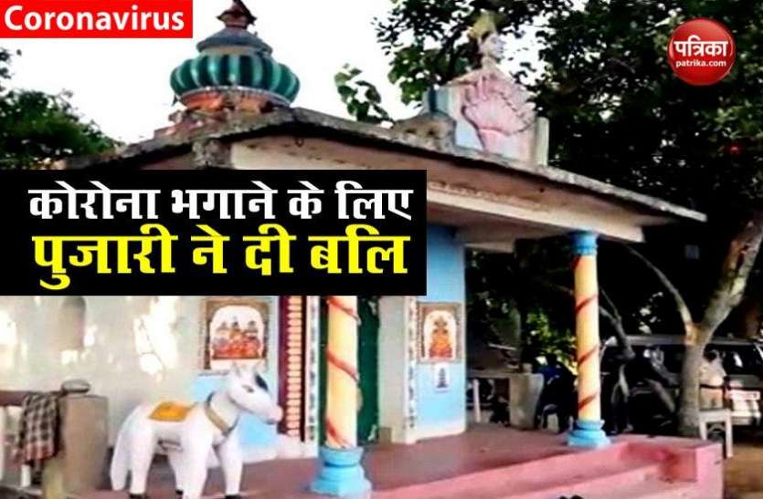 priest chops off man’s head inside temple, ward off coronavirus Coronavirus भगाने के लिए पुजारी ने दी मानव बलि, गला काटकर मंदिर में चढ़ाया