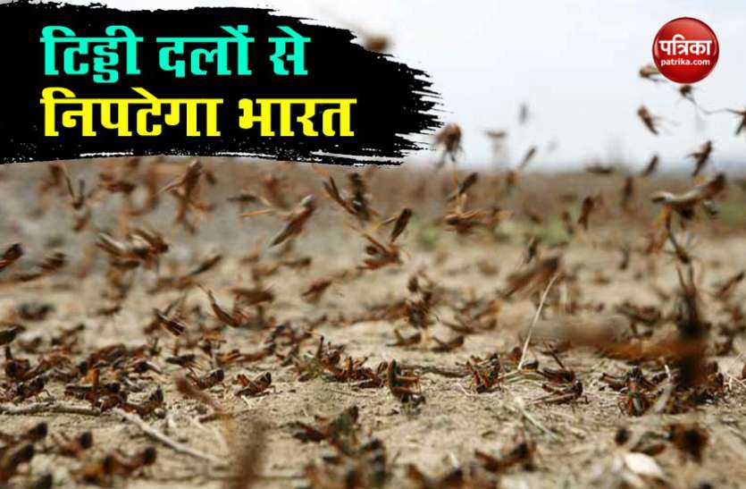 Locust Attack: टिड्डी दलों से सीमा के बाहर ही निपटेगा भारत, जानें क्या है सरकार का प्लान? Locust Attack: टिड्डी दलों से सीमा के बाहर ही निपटेगा भारत, जानें क्या है सरकार का प्लान?