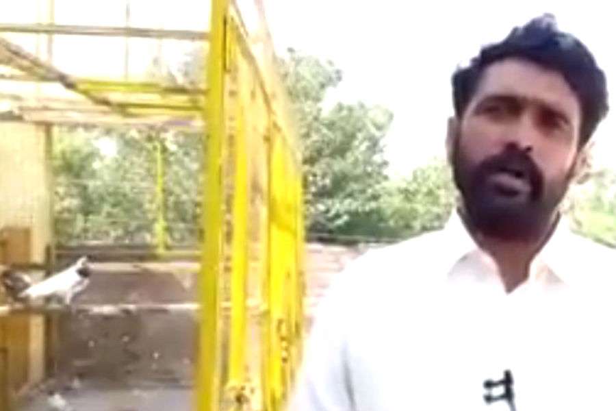 हबीबउल्ला