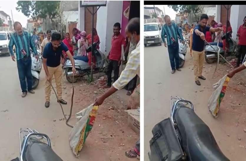 Video: अगर आपके आस-पास भी सांप दिखे तो मारने की बजाय इस नंबर पर करें फोन, तुरंत मिलेगी मदद- देखें रेस्क्यू की Video Video: अगर आपके आस-पास भी सांप दिखे तो मारने की बजाय इस नंबर पर करें फोन, तुरंत मिलेगी मदद- देखें रेस्क्यू की Video