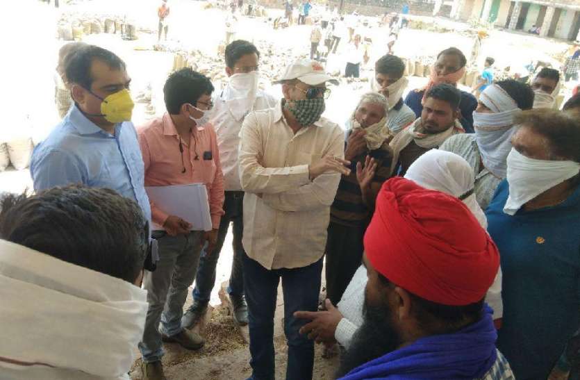 समर्थन मूल्य खरीद केन्द्रों पर 20 हजार क्विंटल की वृद्धि समर्थन मूल्य खरीद केन्द्रों पर 20 हजार क्विंटल की वृद्धि