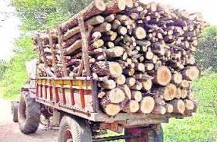 Smuggling of Kher wood by applying necessary service pass आवश्यक सेवा का पास लगाकर की जा रही खेर की लकड़ी की तस्करी