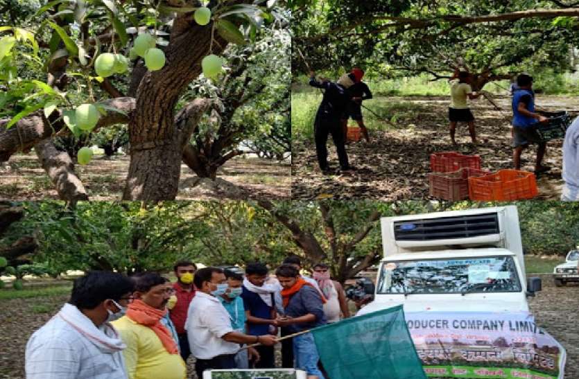 संयुक्त अरब अमीरात में छाया बनारसी लंगड़ा और बनारसी दशहरी का जलवा, पहली बार होगा एक्सपोर्ट संयुक्त अरब अमीरात में छाया बनारसी लंगड़ा और बनारसी दशहरी का जलवा, पहली बार हो रहा एक्सपोर्ट