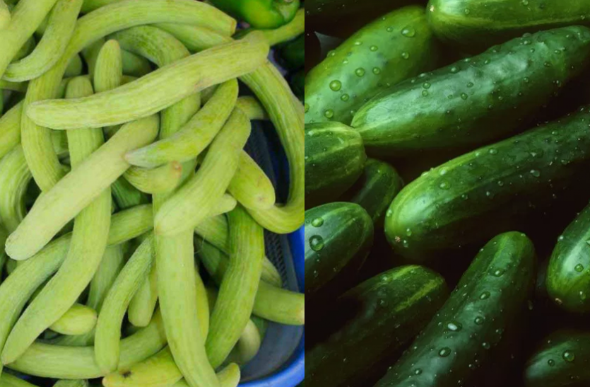 You Should Know Cucumber Benefits In Summer - Cucumber Benefits: त्वचा को  निखारने के लिए गर्मियों में खाएं खीरा-ककड़ी | Patrika News