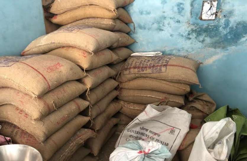 Gujarat: More than 11 thousand kg ration of poor sold in Kalabazar in Rajkot, shopkeeper arrested Gujarat: More than 11 thousand kg ration of poor sold in Kalabazar in Rajkot, shopkeeper arrested