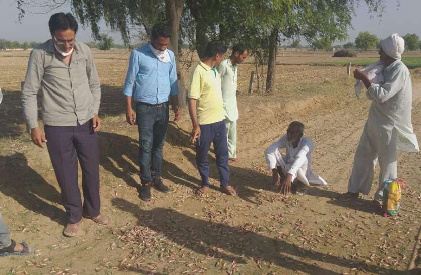दो दल लौटे, अब एक दल सक्रिय,सरकारी मदद नहीं मिली तो किसानों का जीना मुश्किल हो जाएगा दो दल लौटे, अब एक दल सक्रिय,सरकारी मदद नहीं मिली तो किसानों का जीना मुश्किल हो जाएगा
