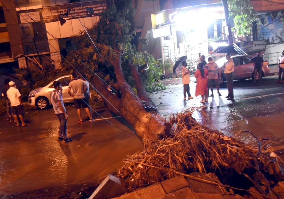 rain_havoc_02.jpg